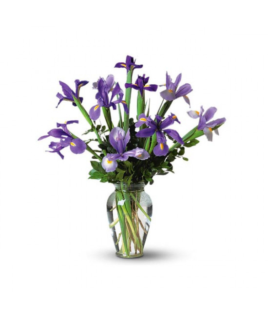 L'arrangement d'iris dans un vase